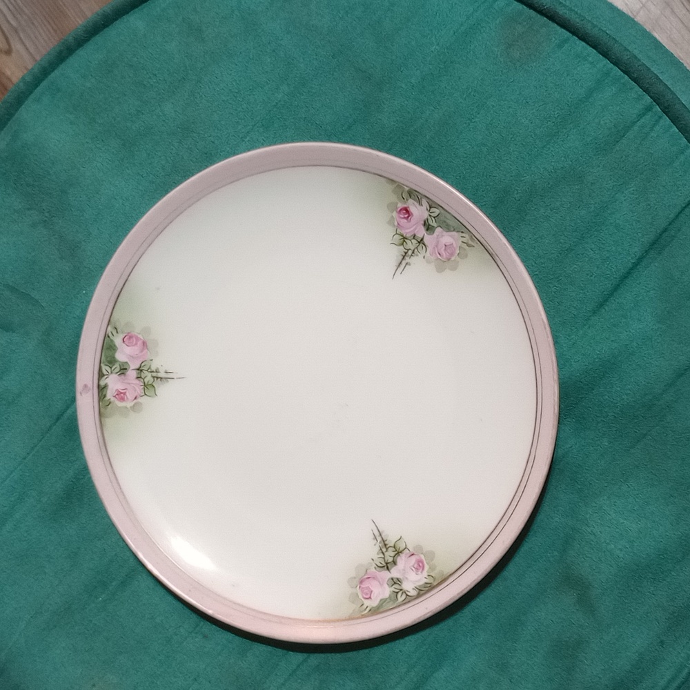 Hand painted Vintage Nippon plate